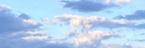 Sincerely__ying Profile Banner