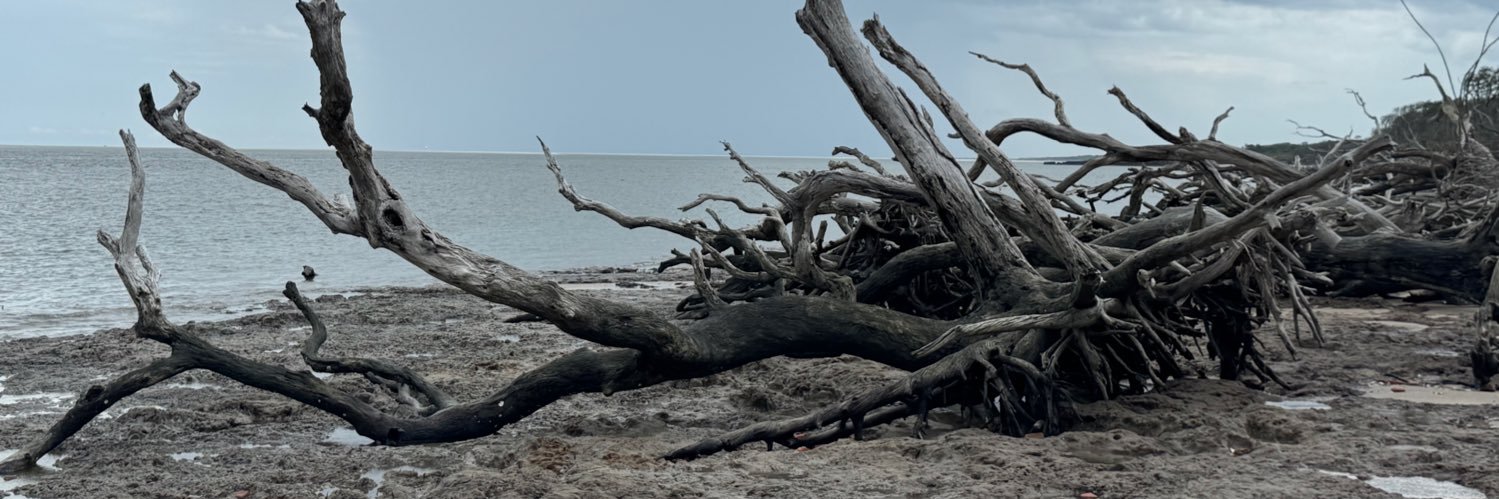 sswiand's profile banner image