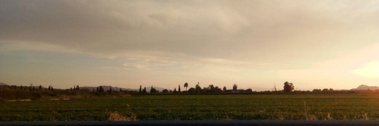 Antonio Estañ banner