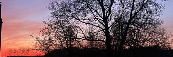 aligips Profile Banner