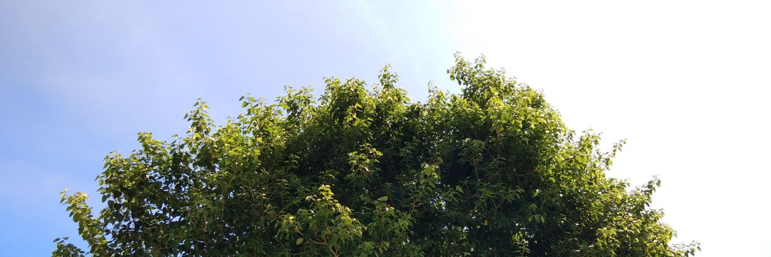 DanBukanDen's profile banner image