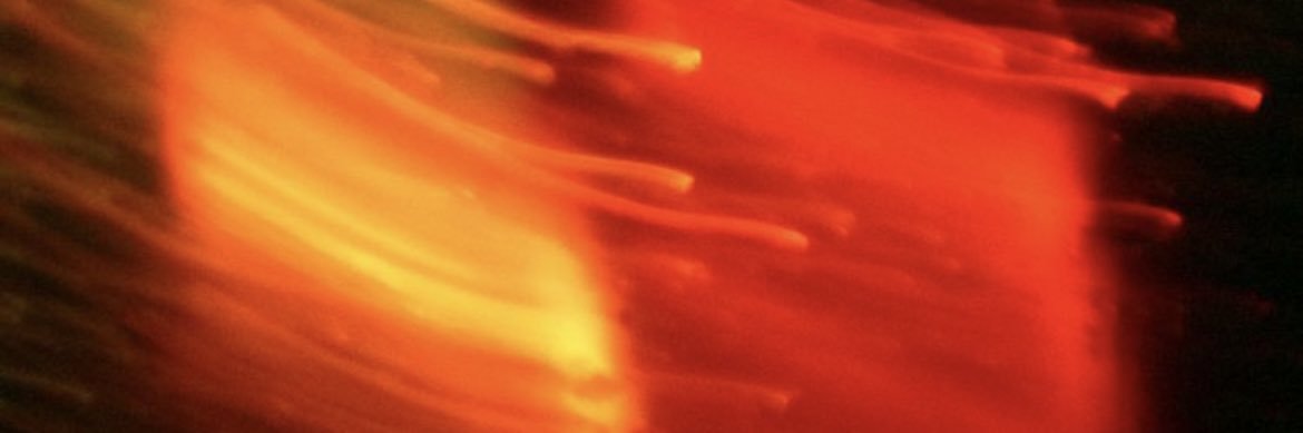 caroline🍀 banner