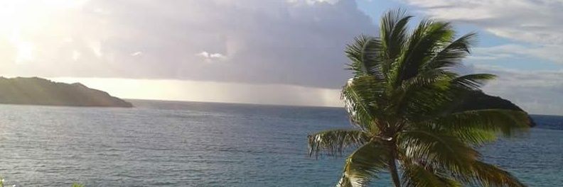 shaake29's profile banner image