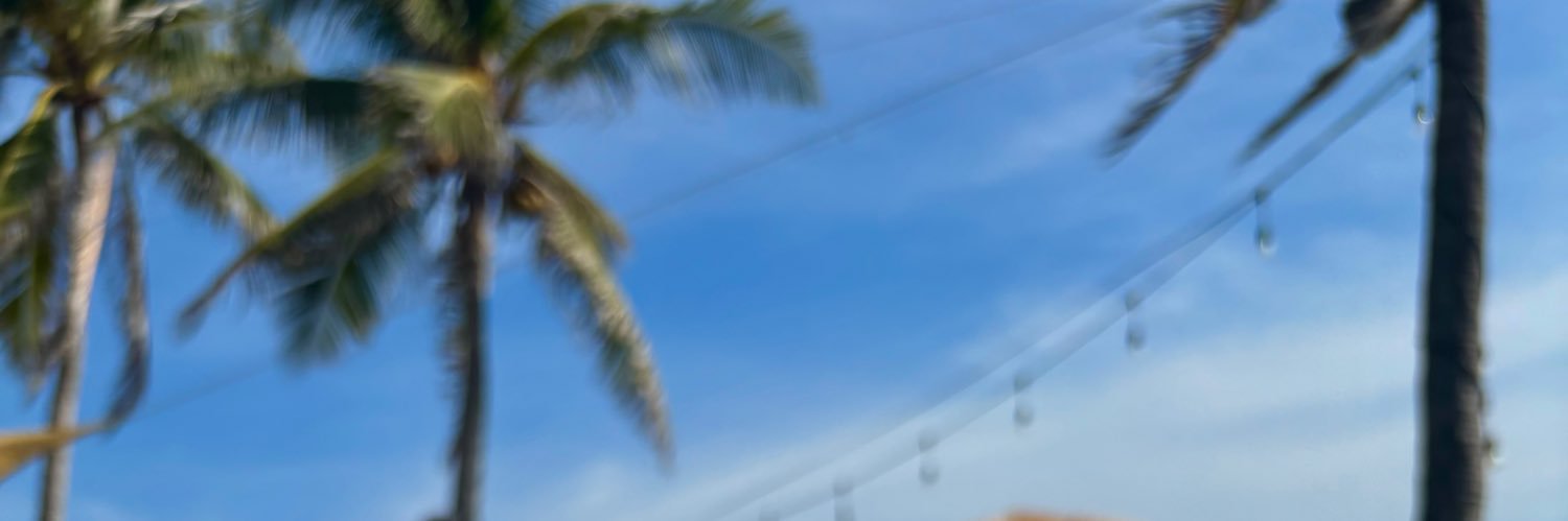 Ryvesca's profile banner image