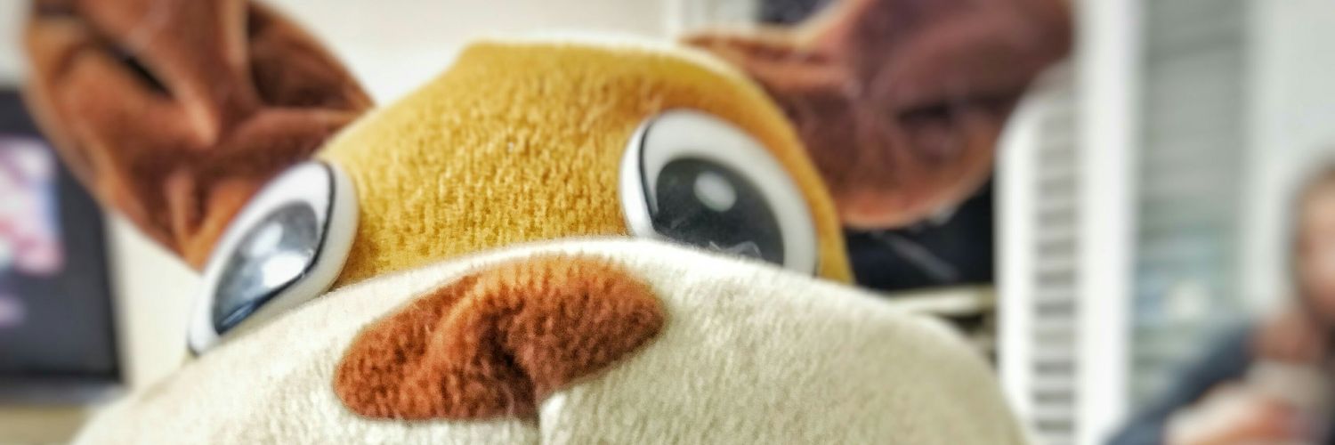 asheryazdi's profile banner image