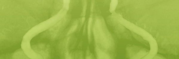Tomography_MDPI Profile Banner