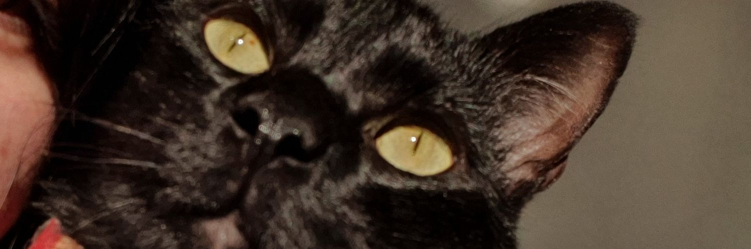 brendcoronel's profile banner image