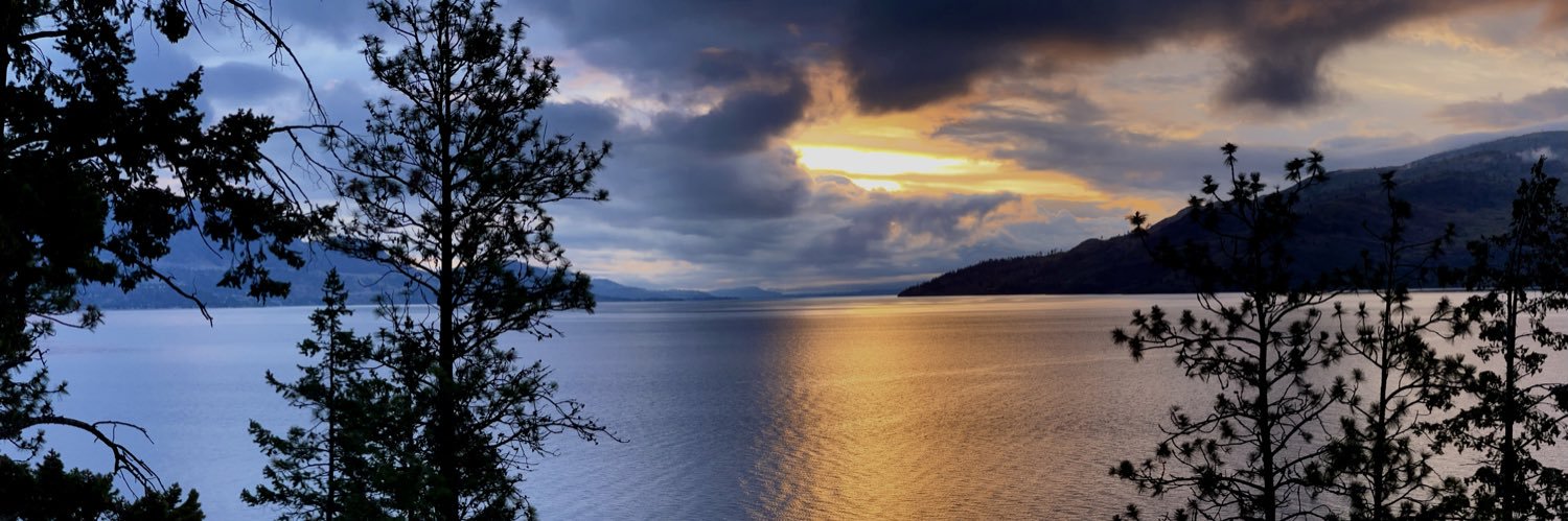 Graye Williams banner