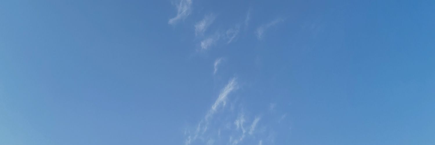 cocodrila's profile banner image