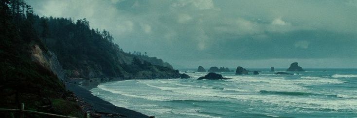 доктор пикмических наук banner