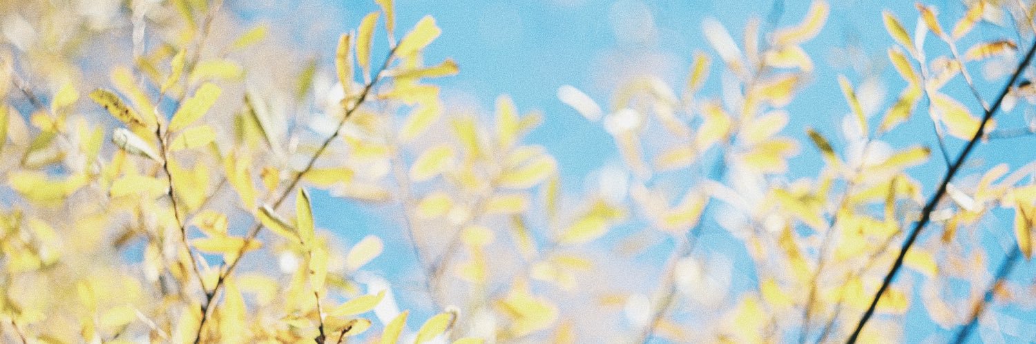 たなかの's banner