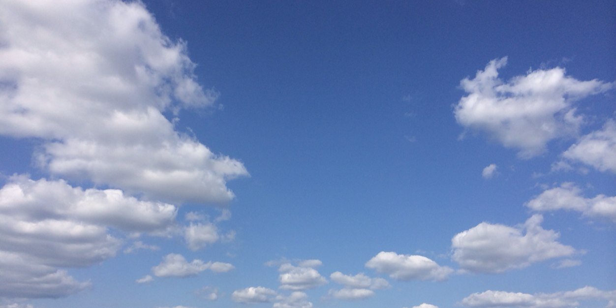 通りすがりの臨工さん banner