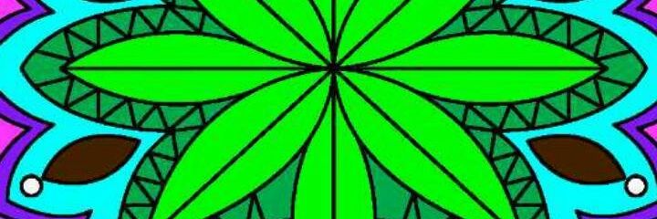 kaupolitan's profile banner image