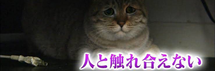 Re_connectSugar's profile banner image