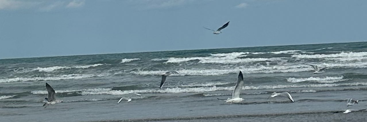 أريـام بِنت سالم banner