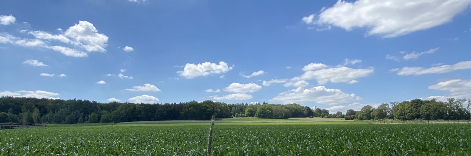 René  banner