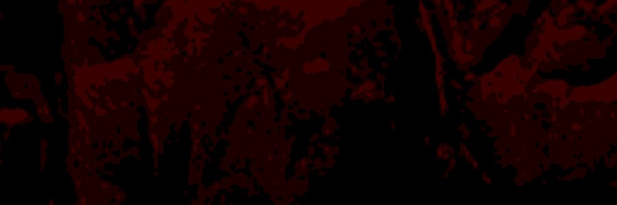 lee from the computer banner