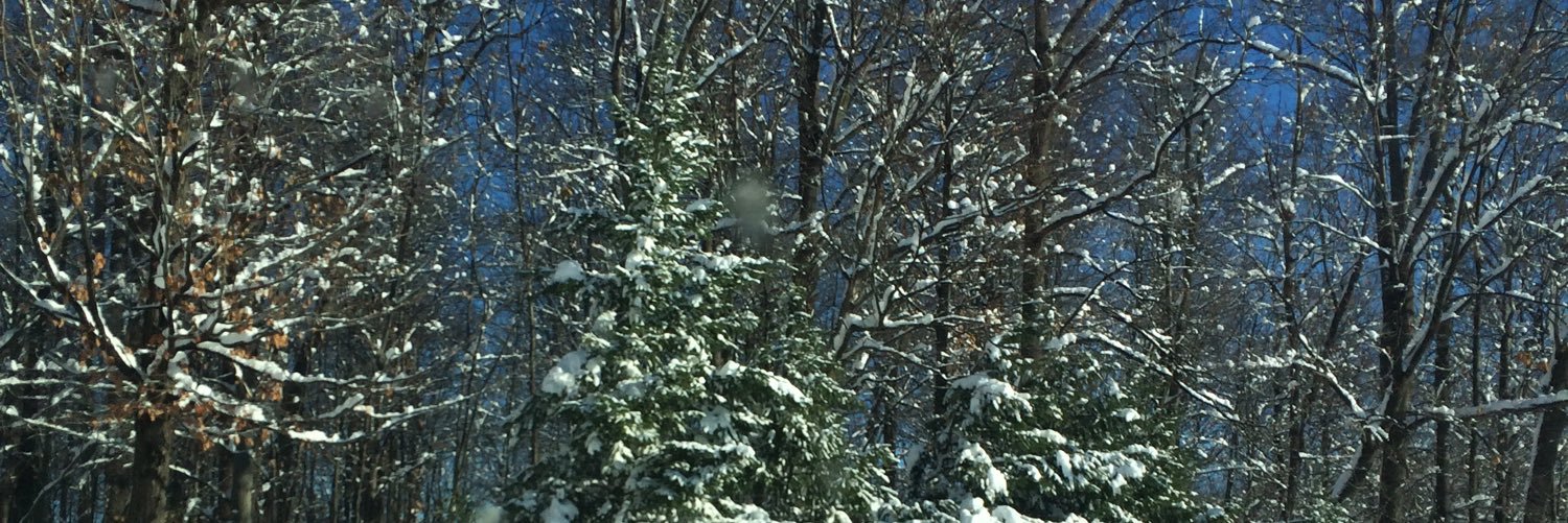 Sherry Griesinger banner