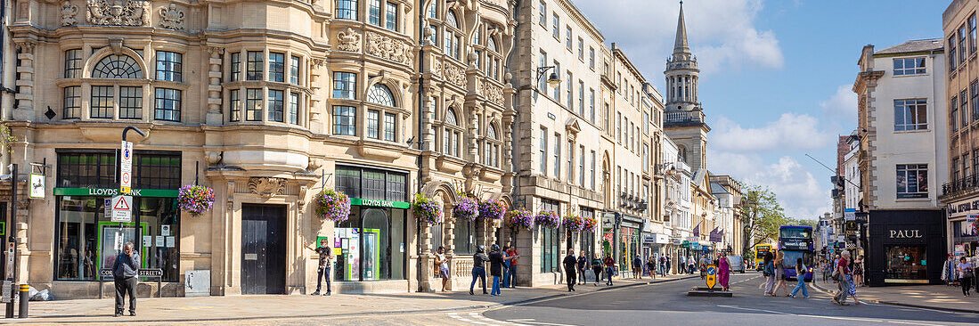 David A. McMillan banner