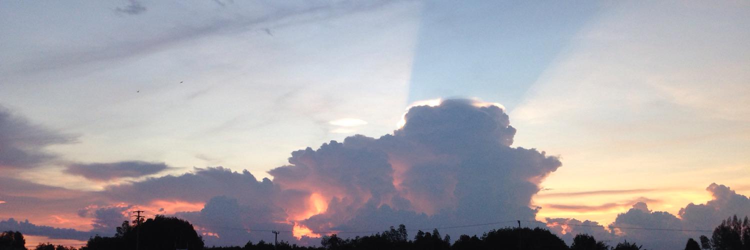 Mild_PS banner