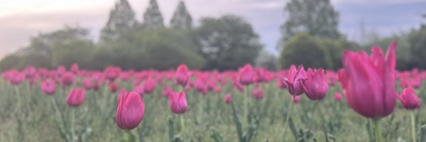 kenken44112 Profile Banner