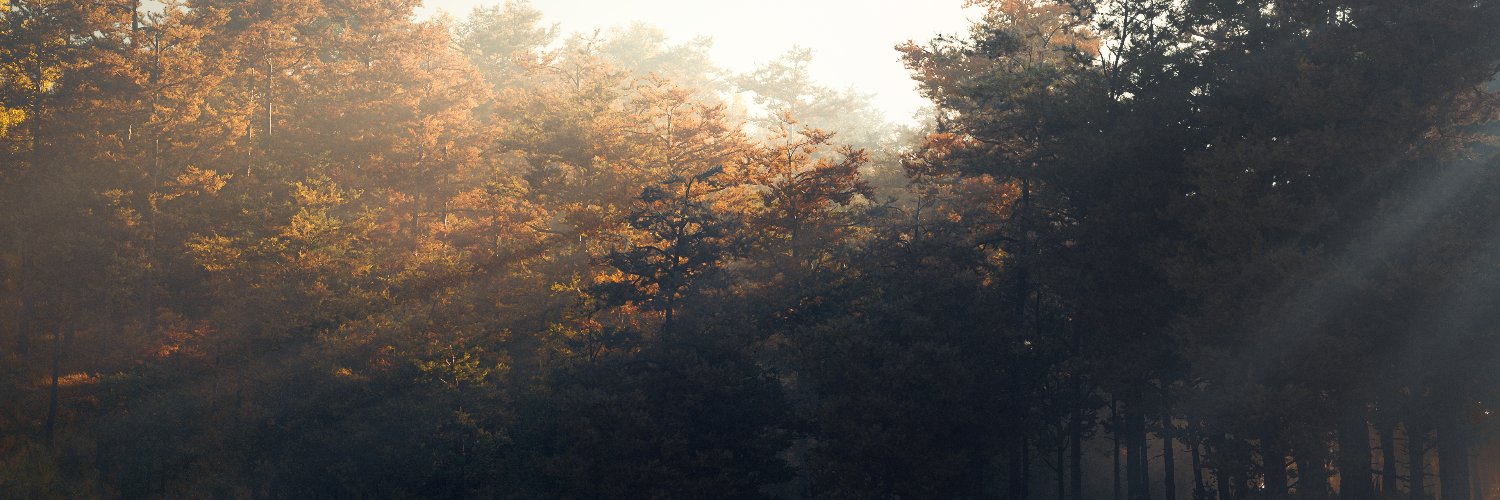 gav_grant's profile banner image