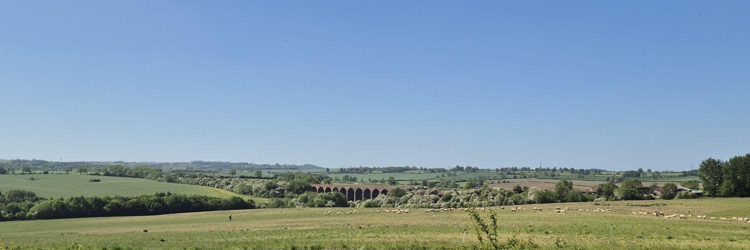 BecksWilson's profile banner image