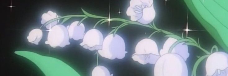 ntconrad's profile banner image