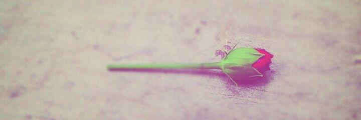 eeng_kaa's profile banner image