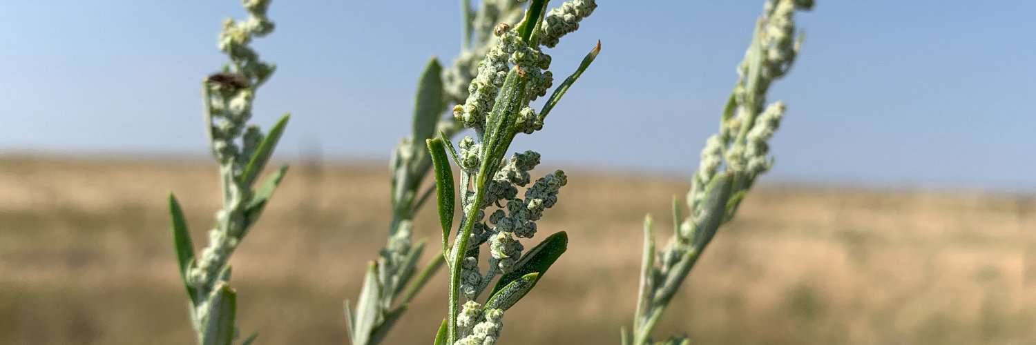 Nebraska State Climate Office banner