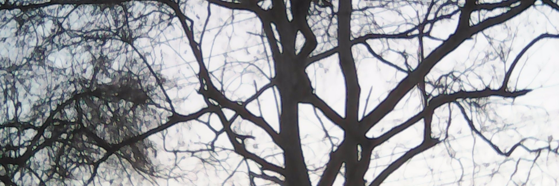 mar779725's profile banner image
