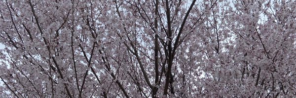 miel0320 Profile Banner