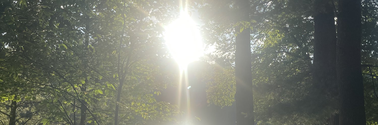 Jerry Gunboat banner