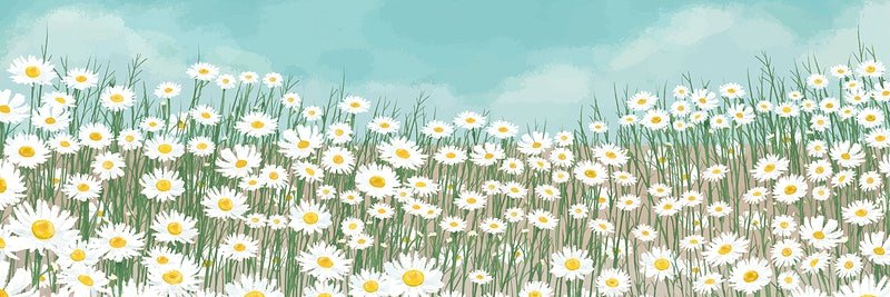 𝘩𝘦𝘩𝘦 ◜◡◝ banner