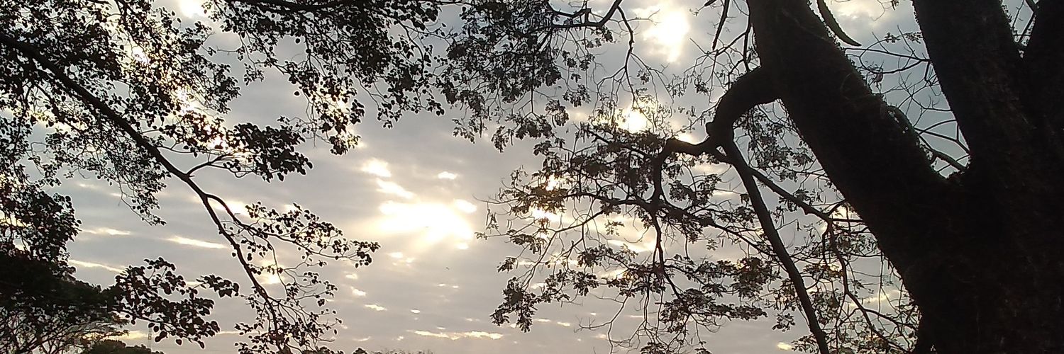 sinberwenxa's profile banner image