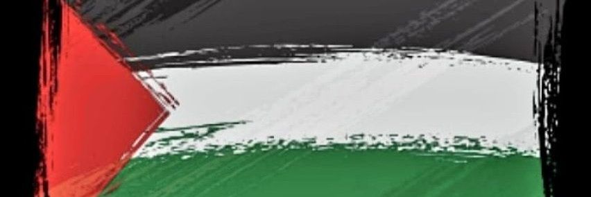 Kason Vicson 🇦🇴 banner