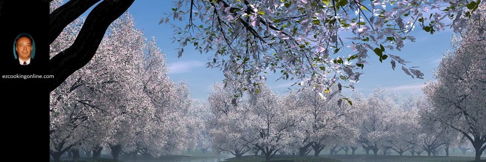 markcouch's profile banner image