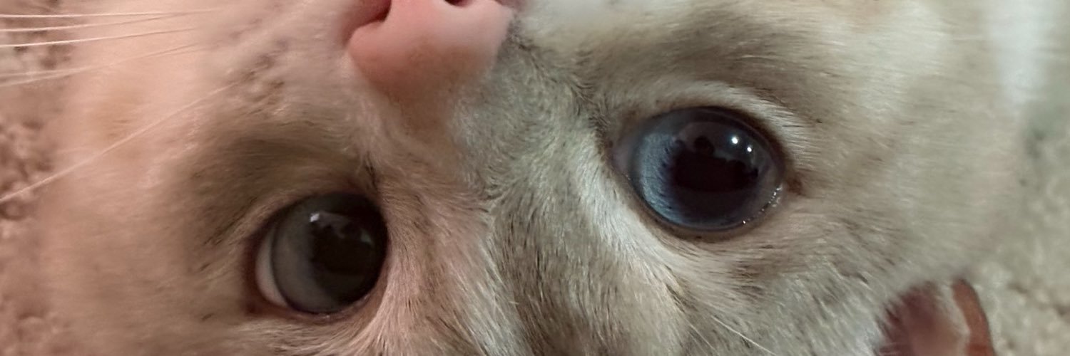 ketarl1's profile banner image
