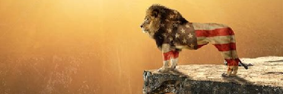 CAMGAL79's profile banner image