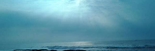 tweeting_sanj Profile Banner