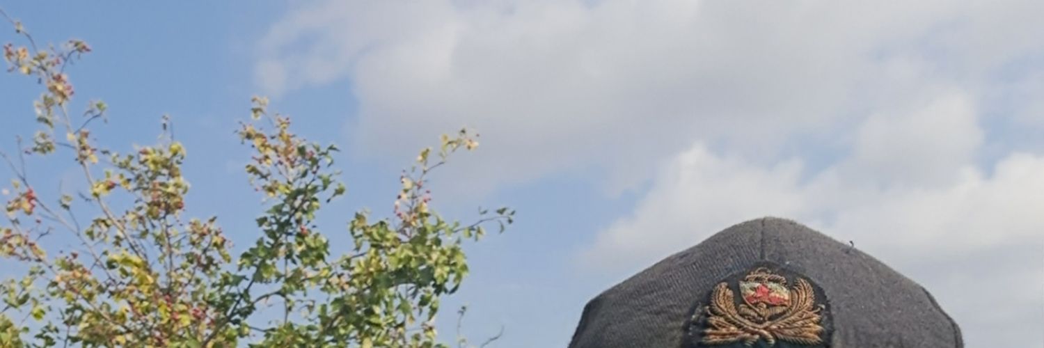 veselideda's profile banner image