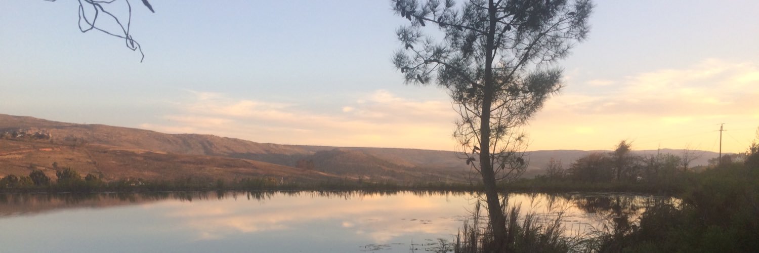 dpcoomber's profile banner image