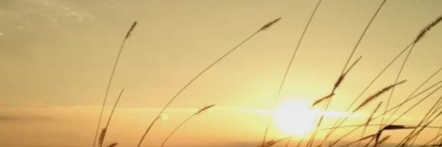 JamesonSody's profile banner image