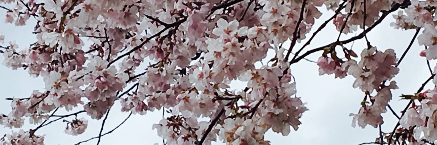 mannjiii's profile banner image