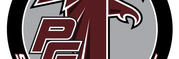 PGSDSuper Profile Banner