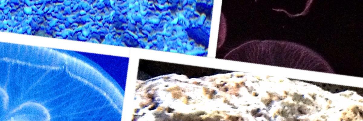 mumin0011's profile banner image