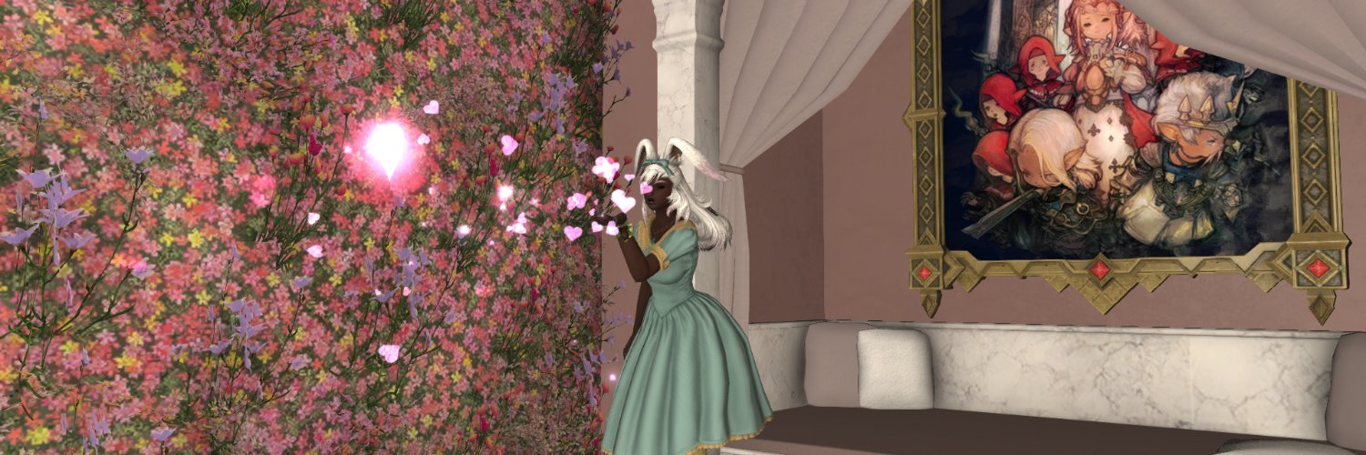 Xaverie banner
