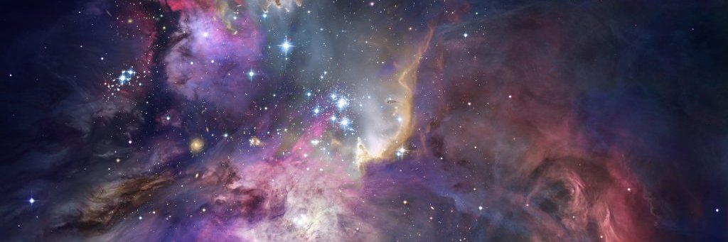 StellaRiseToken's profile banner image