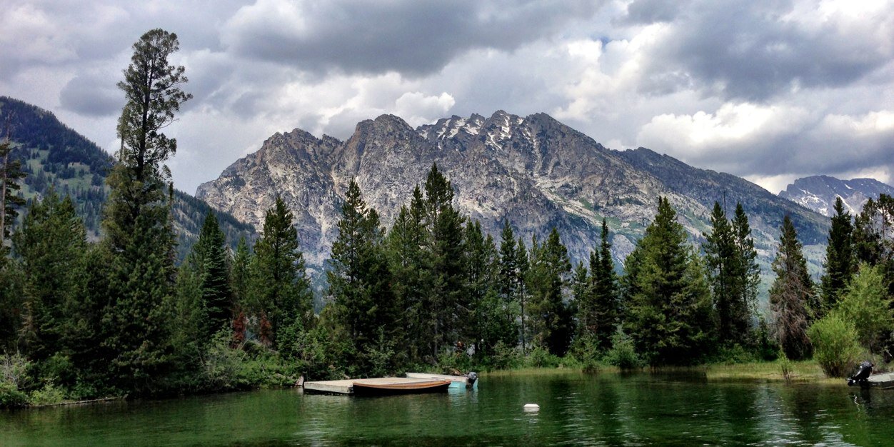 Stephen Redden banner