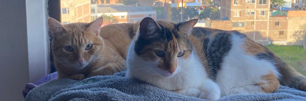 Fofi (spilled) banner